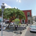 Ficha: Maestranza 239