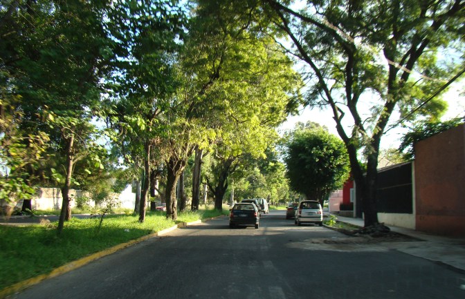 Av. Central