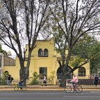 Av. Vallarta 1095 y Argentina 27 – Casas Robles Castillo