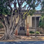 Vallarta 1581 – Casa Navarro Branca