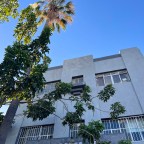 Calzada Independencia Sur 530