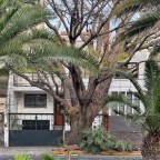 Francisco Javier Gamboa 113 y 115